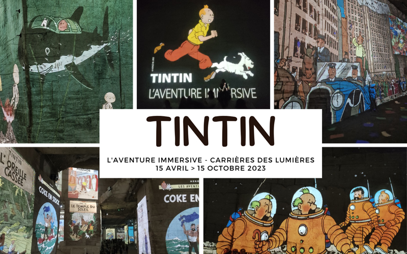 Plongez dans l'univers magique de Tintin : L'exposition à ne pas manquer