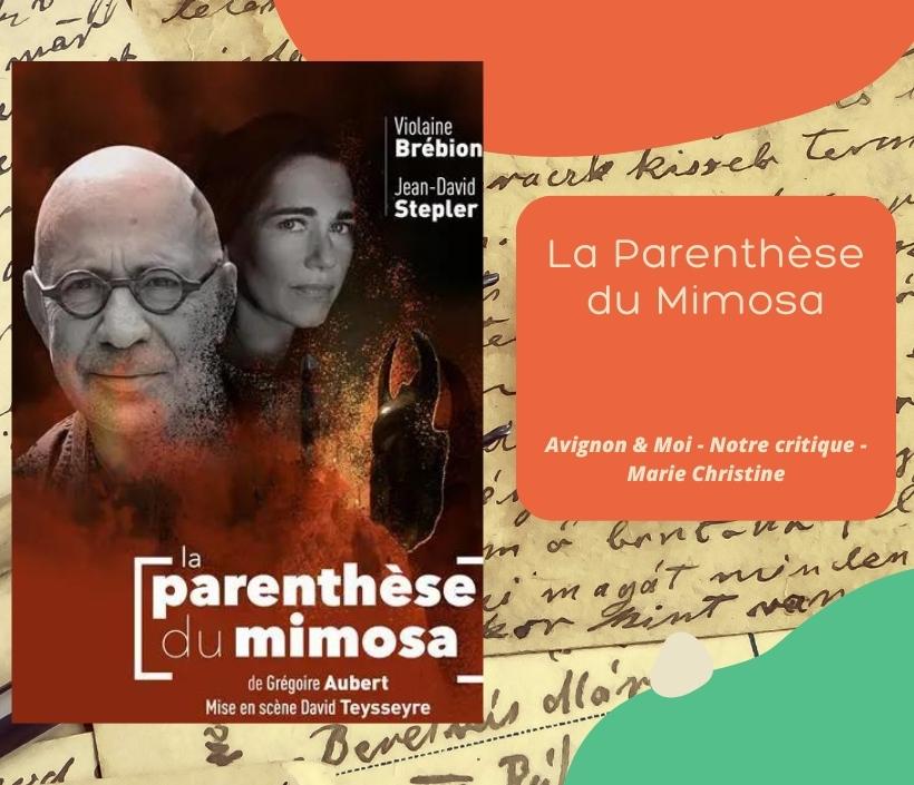 Critique de La Parenthèse du Mimosa de Grégoire Aubert