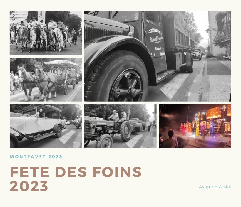 Montfavet Fête des Foins 2023 : Un événement enrichissant pour tous