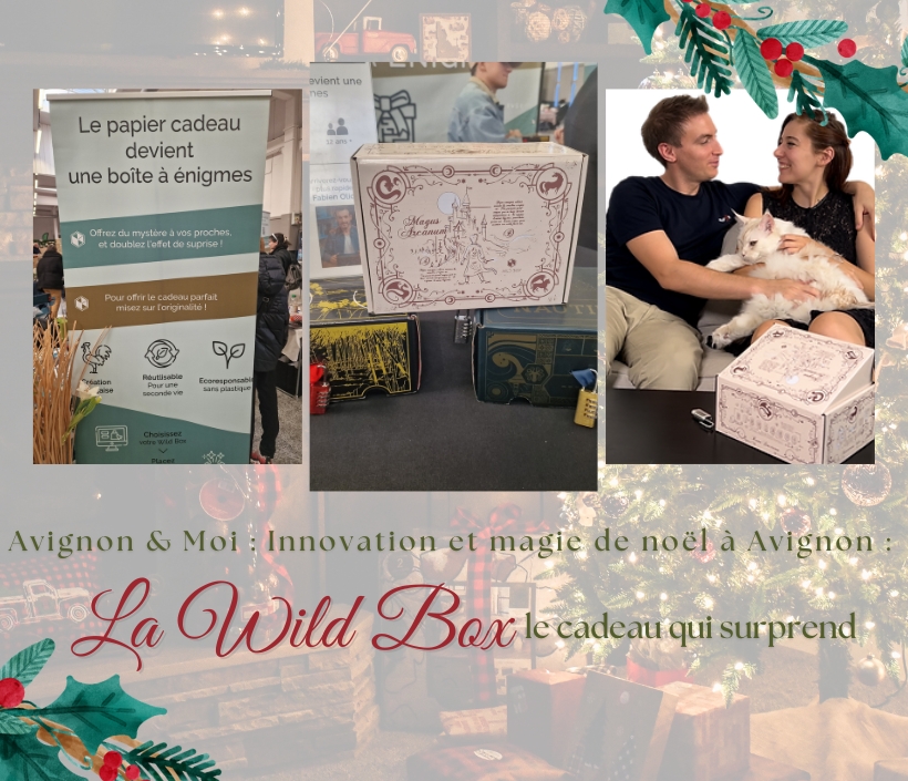 Innovation et magie de noël à Avignon : La Wild Box, le cadeau qui surprend