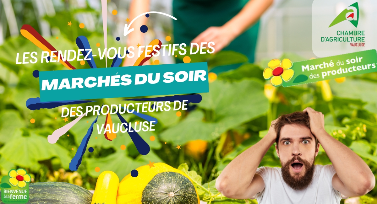 Les Rendez-vous Festifs des Marchés du Soir des Producteurs de Vaucluse