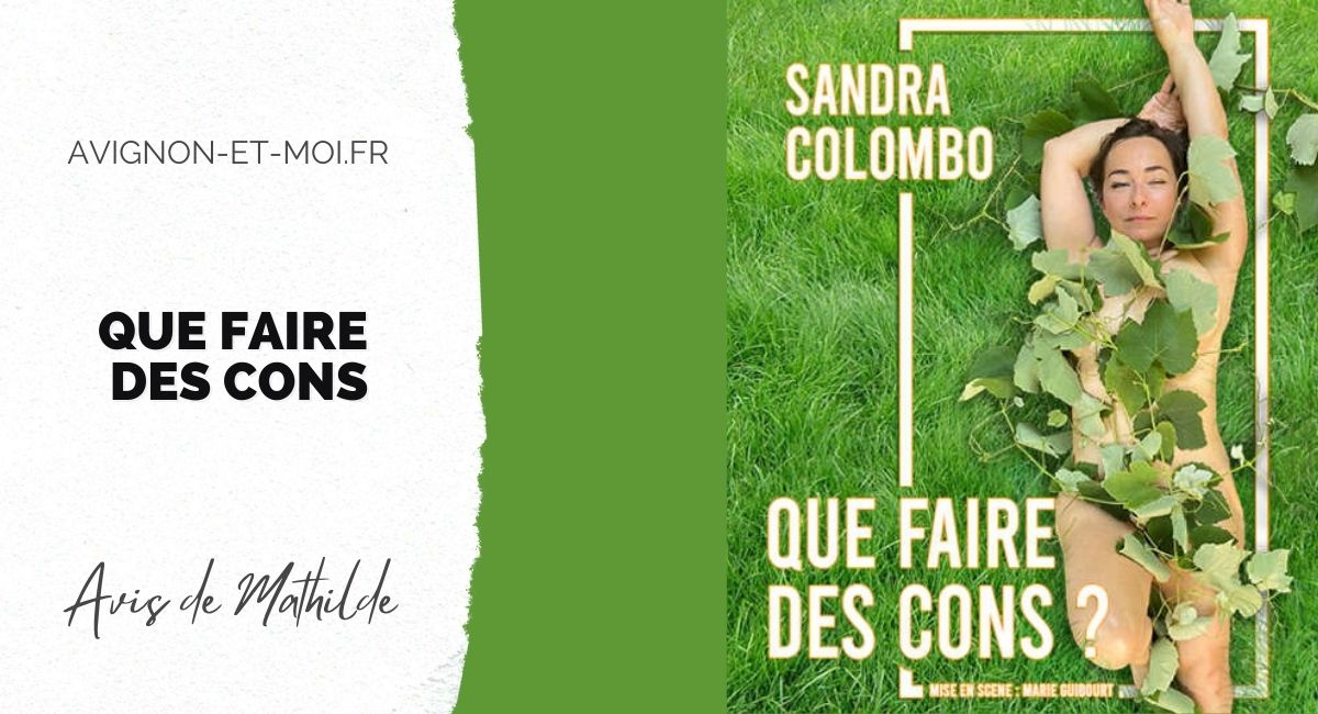 Que faire des cons - Théâtre - Critique - Avignon Off
