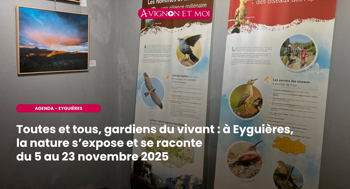 À Eyguières, la Galerie L’Agora fait dialoguer l’art et la nature