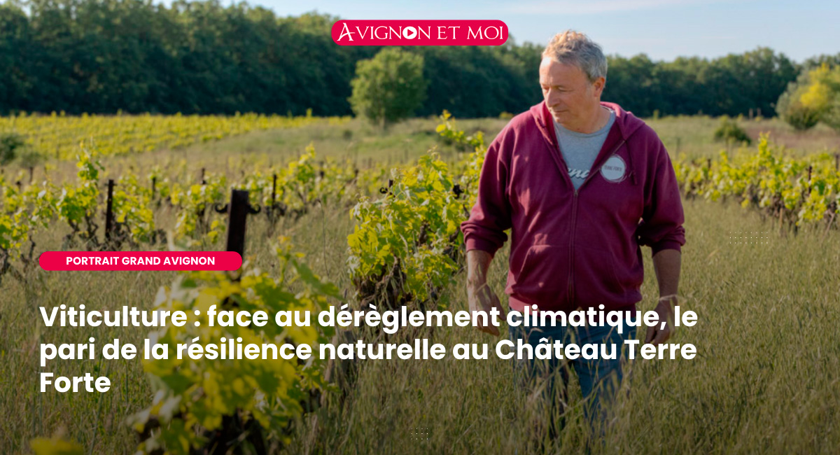 Viticulture : face au dérèglement climatique, le pari de la résilience naturelle au Château Terre Forte