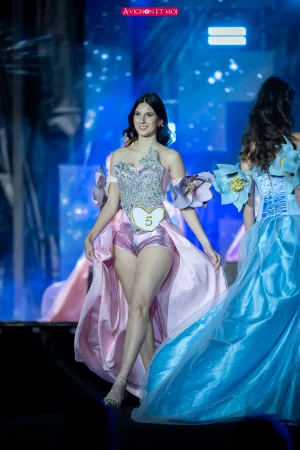 Miss Vaucluse 2026 : l’élection à Avignon — photo 15