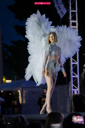 Miss Vaucluse 2026 : l’élection à Avignon — photo 2