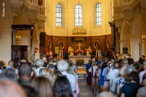Ban des Vendanges 2026 à Avignon : retour en images sur une grande fête populaire — photo 83