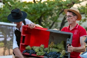 Ban des Vendanges 2026 à Avignon : retour en images sur une grande fête populaire — photo 105