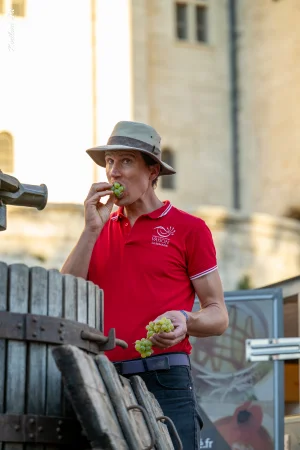 Ban des Vendanges 2026 à Avignon : retour en images sur une grande fête populaire — photo 106