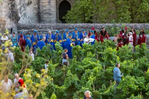 Ban des Vendanges 2026 à Avignon : retour en images sur une grande fête populaire — photo 110