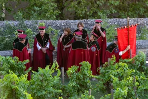 Ban des Vendanges 2026 à Avignon : retour en images sur une grande fête populaire — photo 111