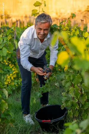 Ban des Vendanges 2026 à Avignon : retour en images sur une grande fête populaire — photo 113
