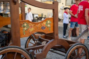 Ban des Vendanges 2026 à Avignon : retour en images sur une grande fête populaire — photo 164