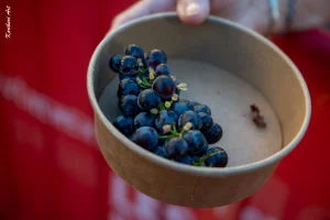 Ban des Vendanges 2026 à Avignon : retour en images sur une grande fête populaire — photo 197