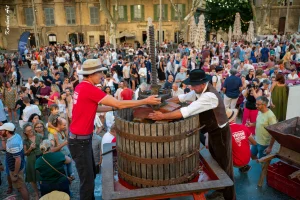 Ban des Vendanges 2026 à Avignon : retour en images sur une grande fête populaire — photo 204