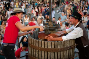 Ban des Vendanges 2026 à Avignon : retour en images sur une grande fête populaire — photo 206