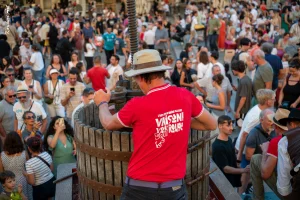 Ban des Vendanges 2026 à Avignon : retour en images sur une grande fête populaire — photo 207