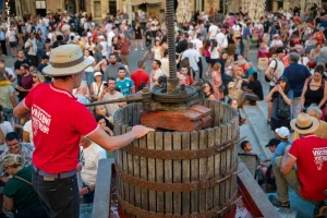 Ban des Vendanges 2026 à Avignon : retour en images sur une grande fête populaire — photo 209