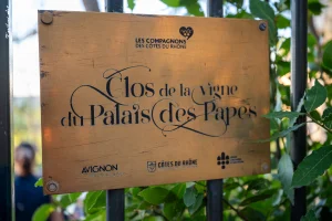 Ban des Vendanges 2026 à Avignon : retour en images sur une grande fête populaire — photo 210