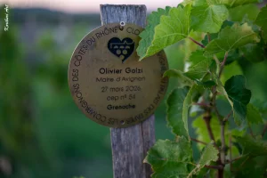 Ban des Vendanges 2026 à Avignon : retour en images sur une grande fête populaire — photo 230