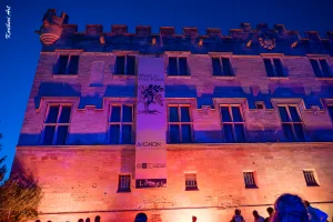 Ban des Vendanges 2026 à Avignon : retour en images sur une grande fête populaire — photo 238