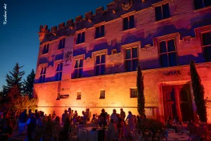 Ban des Vendanges 2026 à Avignon : retour en images sur une grande fête populaire — photo 239