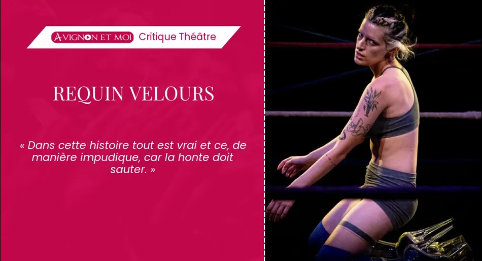 Requin Velours