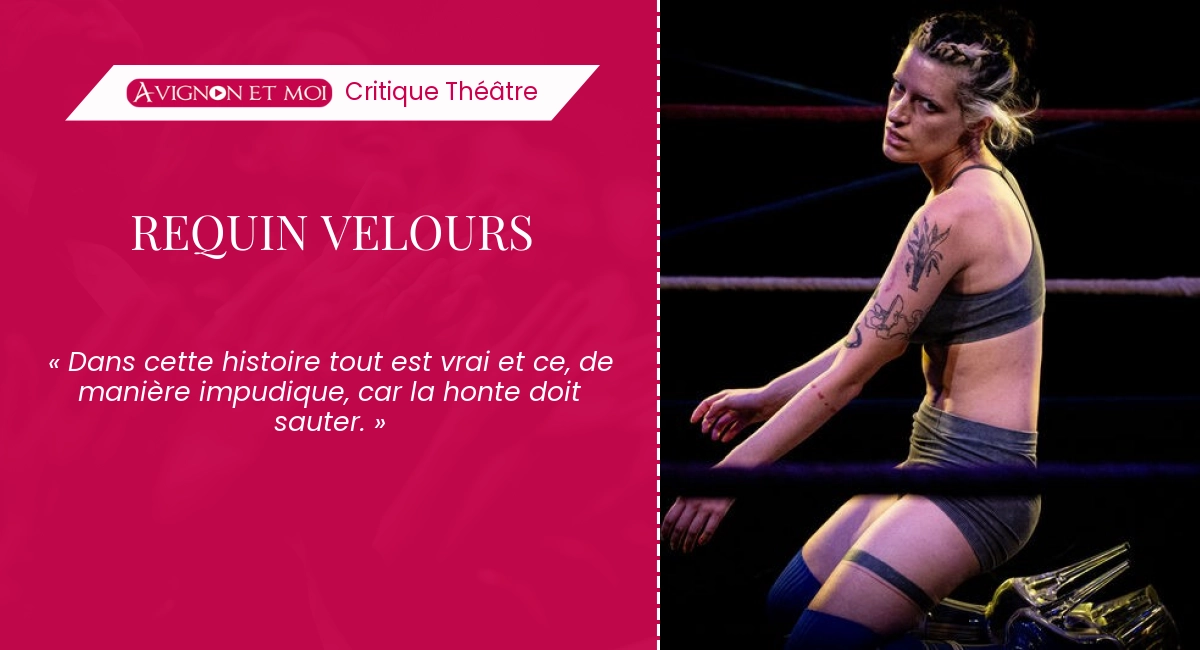 Requin Velours