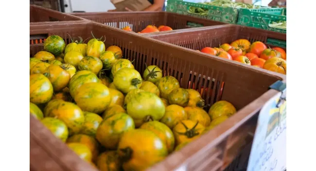 Marché des producteurs de Montfavet