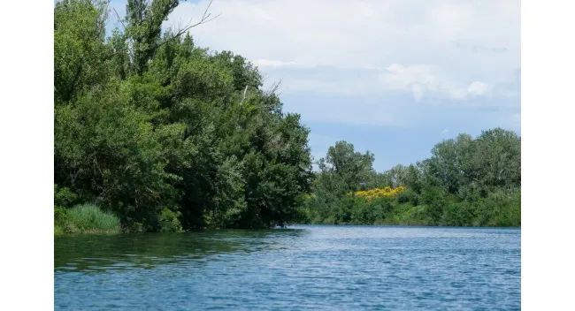 Découverte de l’île de la Barthelasse