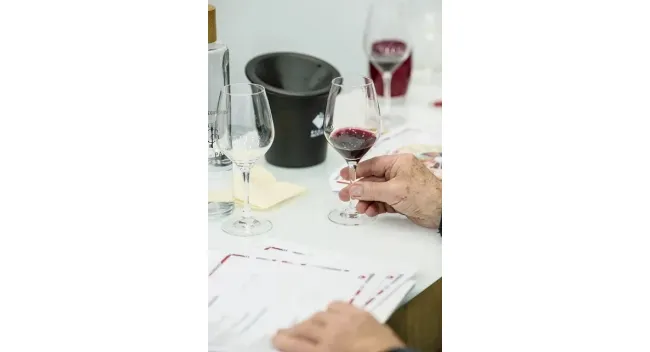 Atelier École des Vins - Initiation à la dégustation - Vallée du Rhône