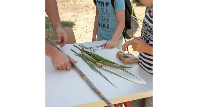 Atelier créatif : observation des petites bêtes étranges des jardins