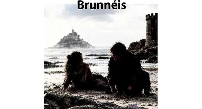 Brunnéis
