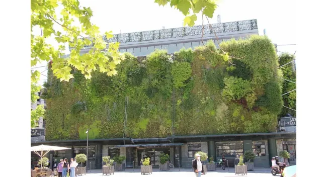 Mois des produits tripiers aux Halles