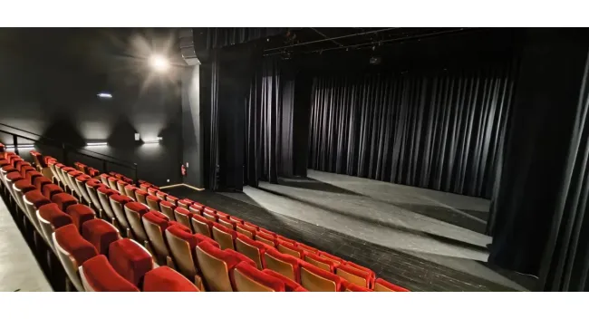 Cirque contemporain «Show Business»