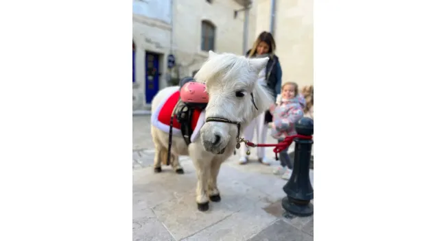 Balade à poney : en selle dans le centre historique !