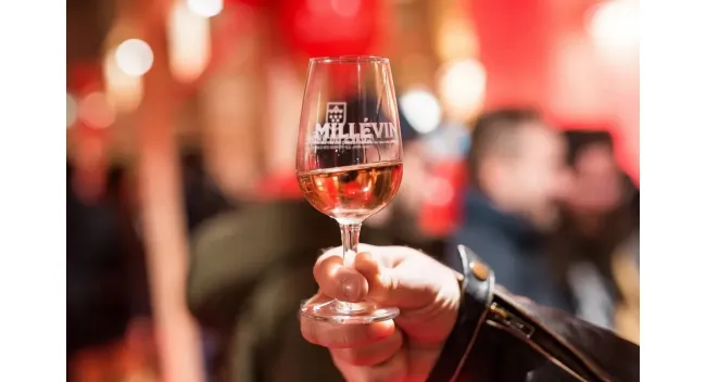 Millévin - Fête des Côtes du Rhône et du nouveau Millésime