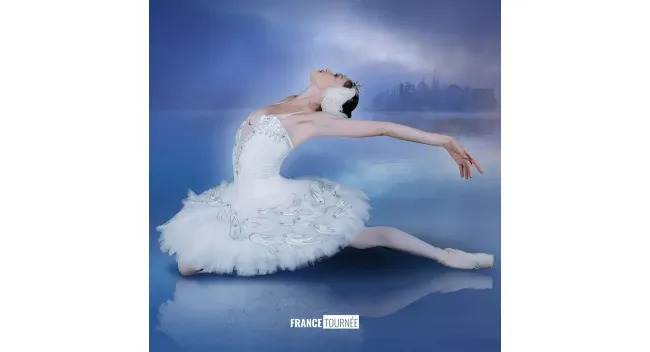 Le Lac des Cygnes